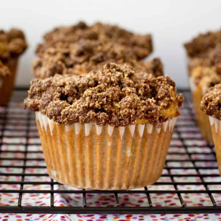 Rhubarb Coffee Cake Muffins (gluten-free, dairy-free, refined sugar-free and paleo!)