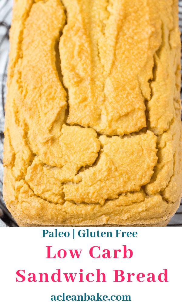 Low Carb Bread (Gluten Free and Paleo Sandwich Bread Made in the Blender!)