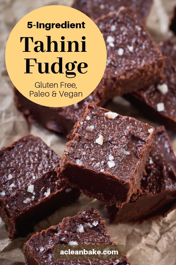 5Ingredient Tahini Fudge (Gluten Free, Paleo, and Vegan)