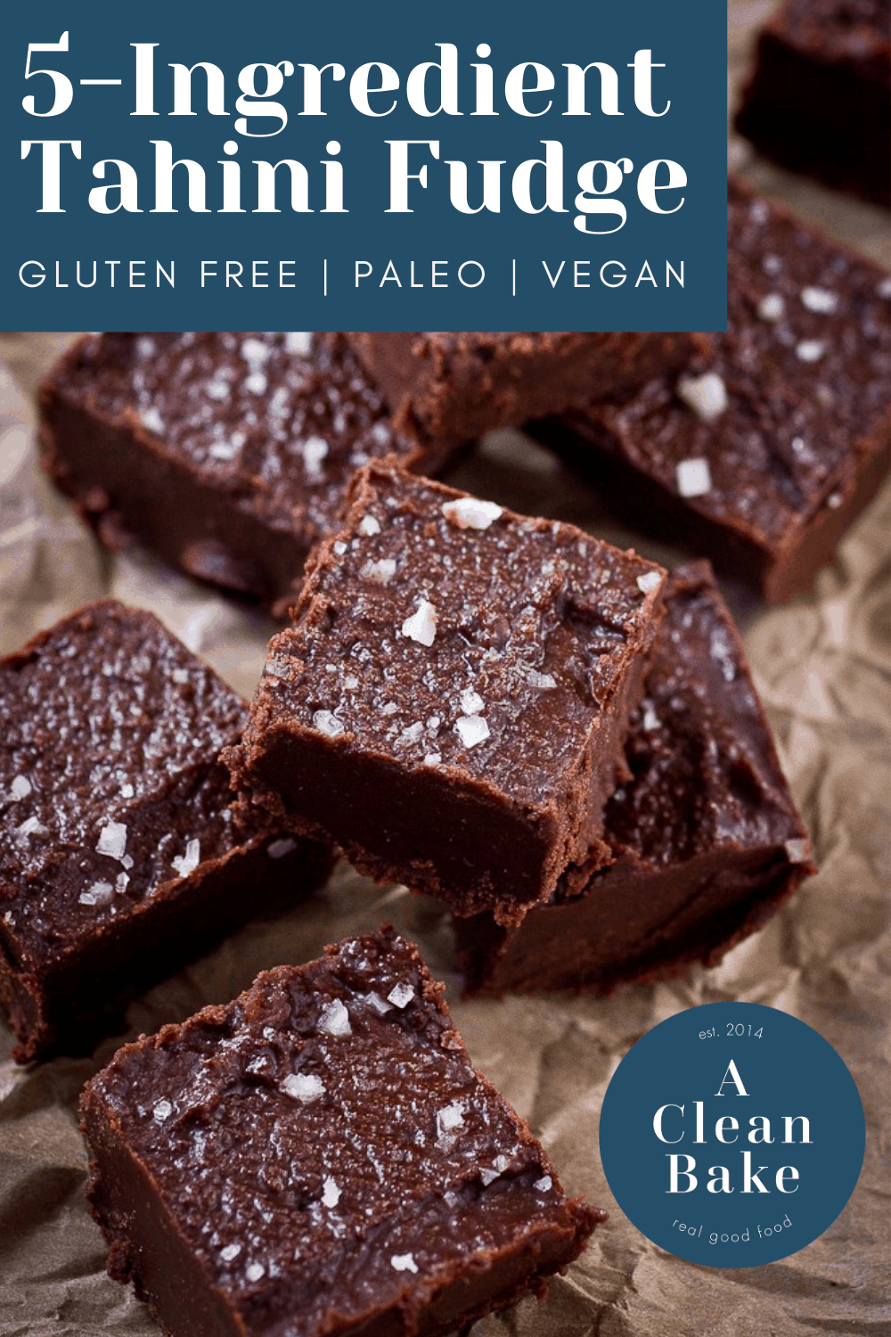 5Ingredient Tahini Fudge (Gluten Free, Paleo, and Vegan)