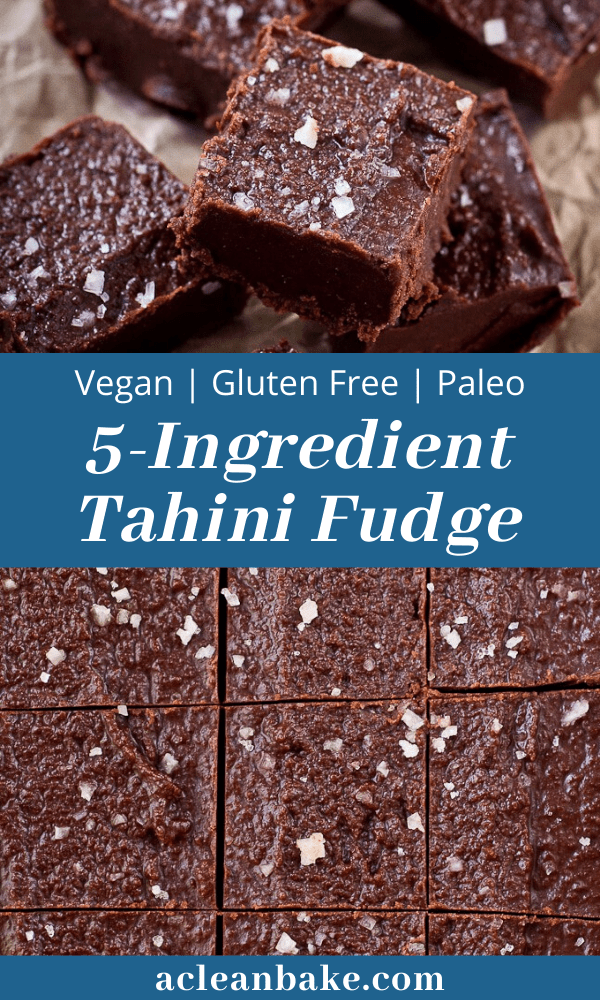 5 Ingredient Tahini Fudge Gluten Free Paleo And Vegan 4858