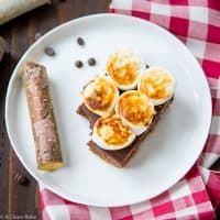 Paleo SMores Bars (gluten free, dairy free)