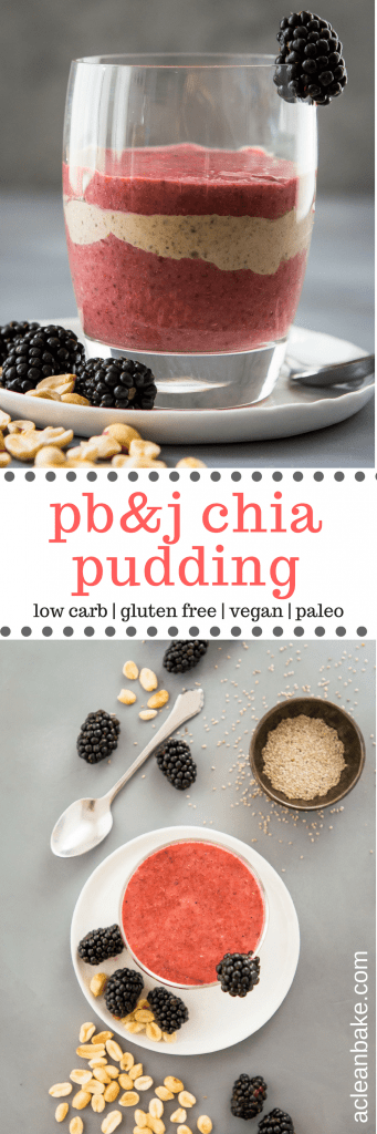 PB&J Chia Pudding (GF, V, Paleo)