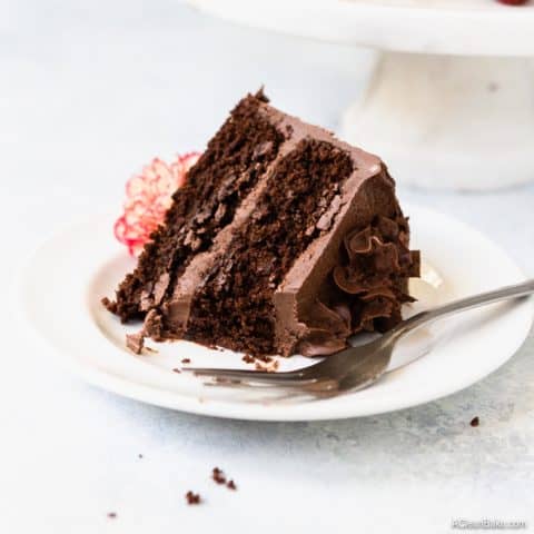 Paleo Chocolate Cake - Supremely moist, dense, and rich - the way a chocolate cake should be. #glutenfree #paleo #grainfree #healthydessert #healthybaking #chocolate #lowcarb #lowcarbdessert #glutenfreedessert #glutenfreecake #paleocake