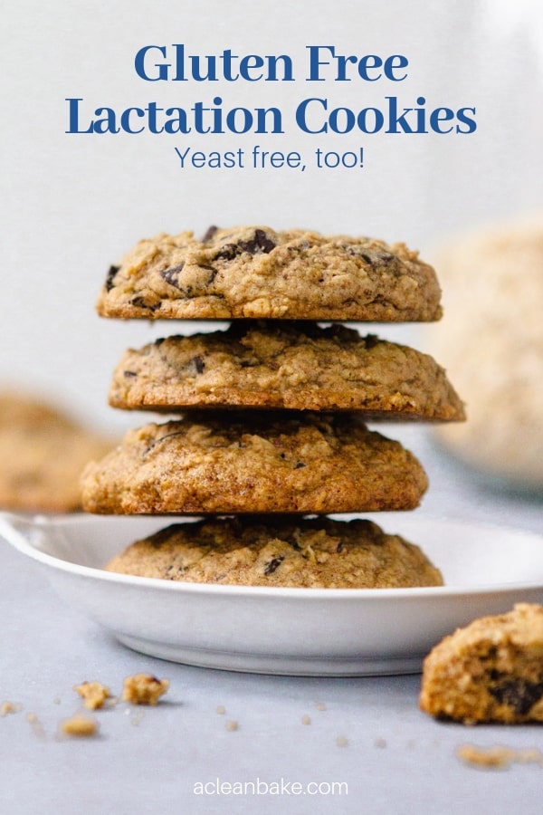 Homemade best sale lactation cookies