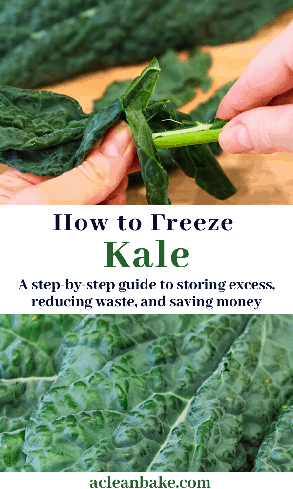 How to Freeze Kale A StepByStep Guide A Clean Bake