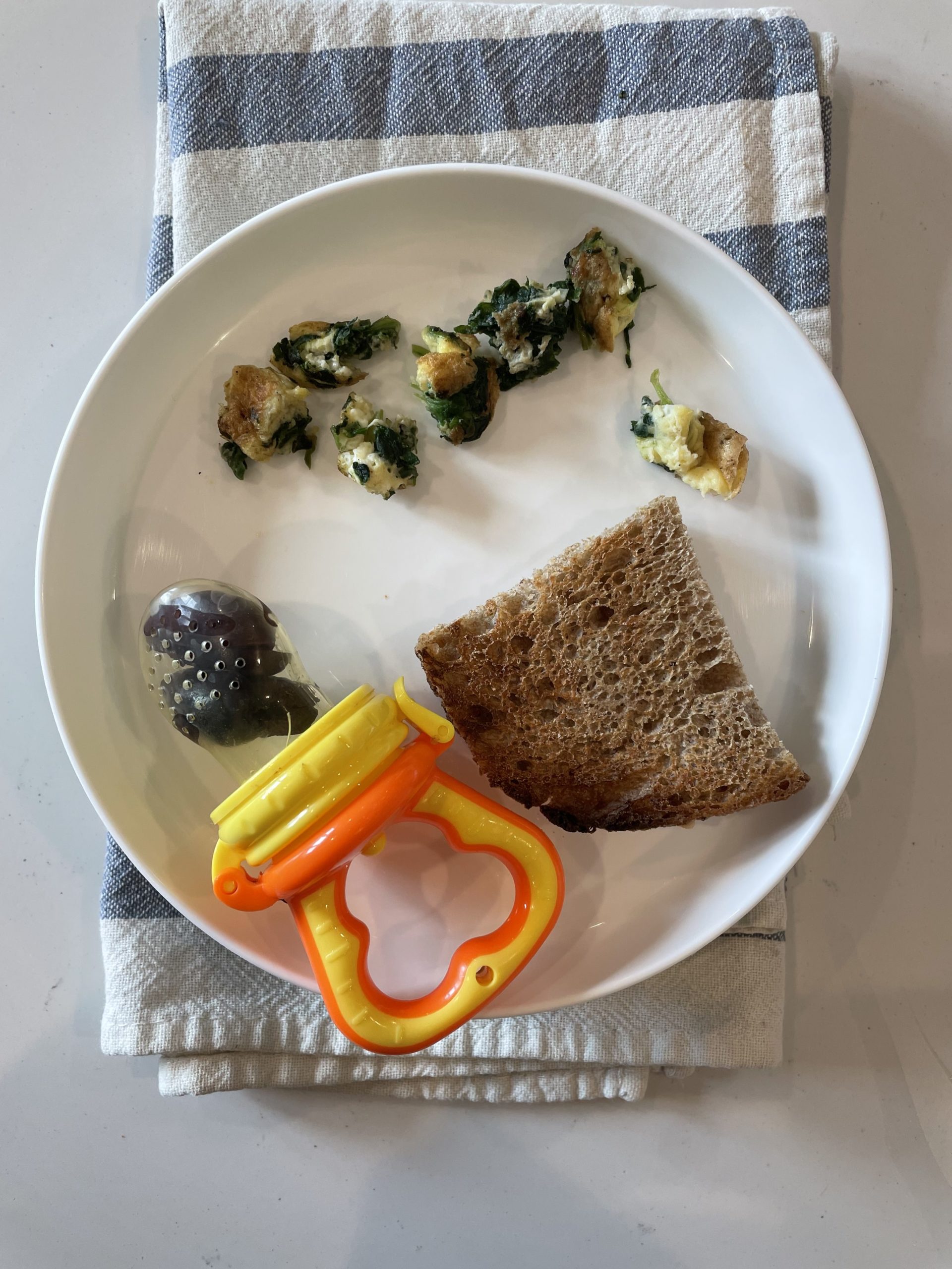 Baby Led Weaning Breakfast: omelette, toast, blueberries on a plastic plate